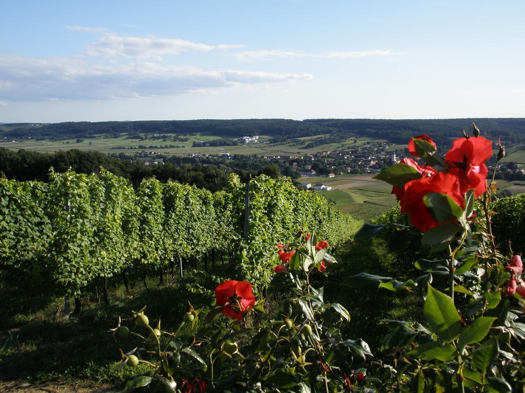 Golf&Wellness Apartment 34. Bad Waltersdorf Zimmer foto